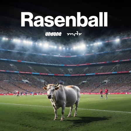 Rasenball: Red Bull und der moderne Fußball